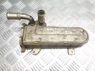 038131513AD Радиатор EGR Volkswagen Golf 5 Арт e3211293, вид 1