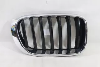 51117338572 7338572 106271-10 10627110 Решетка радиатора BMW X3 F25 Арт e3400946, вид 1