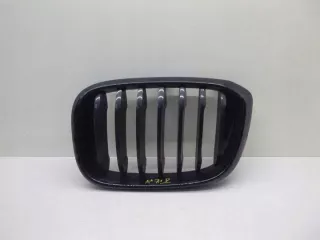 8091725 Решетка радиатора BMW X3 G01 Арт e3519780, вид 1