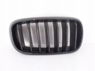 51712334710 2334710 Решетка радиатора BMW X5 F15 Арт e3763366, вид 1