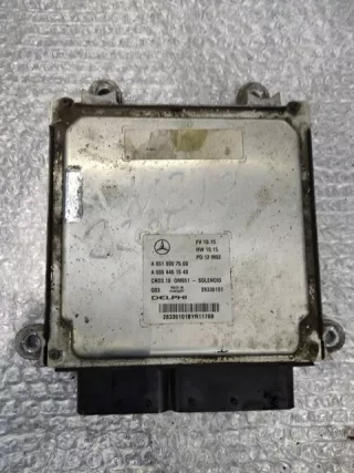 A6519007500 A0064461540 Блок управления двигателем Mercedes E C207 Арт e4615685, вид 1