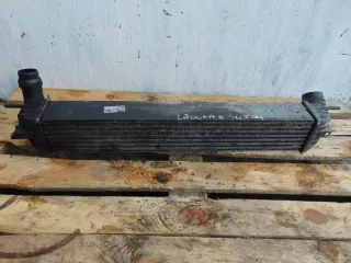 H9467002 Интеркулер Renault Laguna 3 Арт e5049891, вид 1