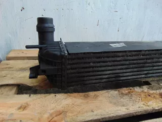 H9467002 Интеркулер Renault Laguna 3 Арт e5049891, вид 3