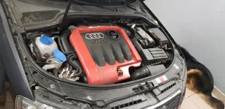  Коллектор впускной Audi S3 8P Арт e5470720