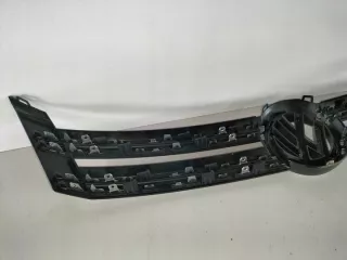 5N0853651H Решетка радиатора Volkswagen Tiguan 1 Арт e5926484, вид 4