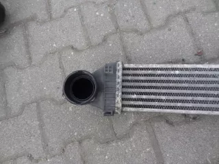 A1695000000 Интеркулер Mercedes A W169 Арт e5983863, вид 2