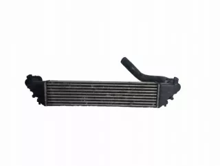 8E0650000 Интеркулер Fiat 500 2 Арт e6006003, вид 1