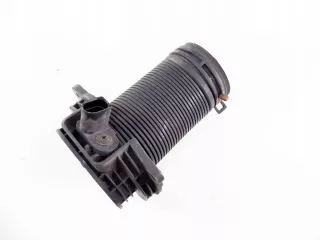 0609053790 Гофра инжектора Volkswagen Passat B6 Арт e6390754, вид 1