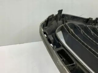 7454888 Решетка радиатора BMW X5 G05  Арт e6493521, вид 5