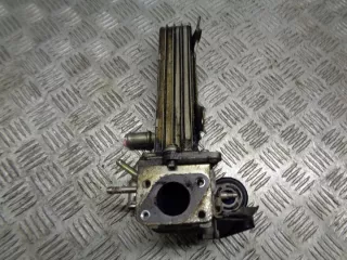 038131513D Радиатор EGR Volkswagen Golf 4 Арт e6503236, вид 2