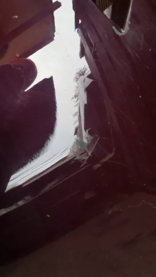  Бампер задний BMW X5 G05  Арт e6572067, вид 4