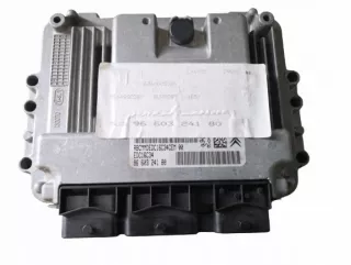 9660324180 Блок управления двигателем Citroen C4 1 Арт e6724249, вид 1
