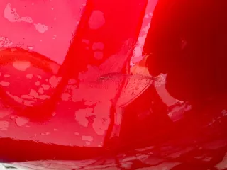 850225639R Бампер задний Renault Clio 4 Арт e6905842, вид 4