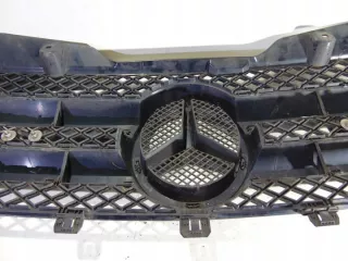 A9068800285 Решетка радиатора Mercedes Sprinter W906 Арт e7260162, вид 7