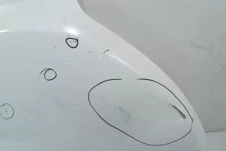  Капот Daihatsu Terios 1 Арт e7291444, вид 6