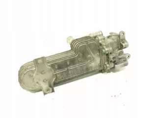 03G131513 Радиатор EGR Volkswagen Golf 5 Арт e7416989, вид 3