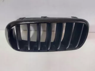 7316075 Решетка радиатора BMW X5 F15 Арт e7507559, вид 1