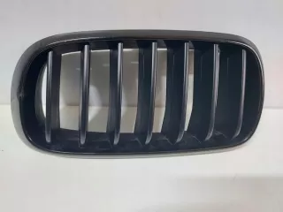 7316075 Решетка радиатора BMW X5 F15 Арт e7507559, вид 2