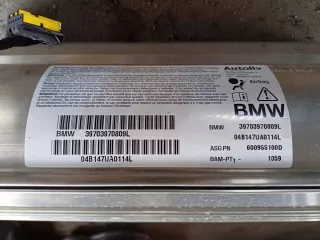 39703970809L Подушка безопасности BMW 5 E60/E61 Арт e7998499, вид 1