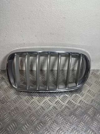 7308660 7308660-02 Решетка радиатора BMW X5 F15 Арт e8120033, вид 1