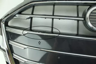 8W0853651DF 8W0853651DH BTA705719901 Решетка радиатора Audi A4 B9 Арт e8221570, вид 2