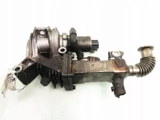 H7700107471 Радиатор EGR Renault Scenic 2 Арт e8643578, вид 1