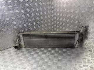 8200115540 Интеркулер Renault Scenic 2 Арт e8677483, вид 1