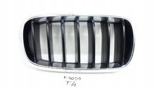 7316076 Решетка радиатора BMW X5 F15 Арт e8802500, вид 1