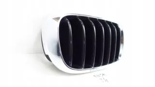 7316076 Решетка радиатора BMW X5 F15 Арт e8802500, вид 2