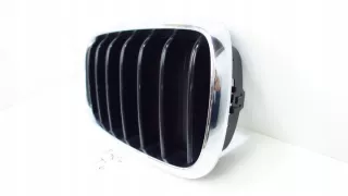 7316076 Решетка радиатора BMW X5 F15 Арт e8802500, вид 3