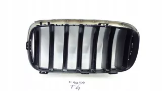 7316076 Решетка радиатора BMW X5 F15 Арт e8802500, вид 4