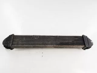 A1695000000 Интеркулер Mercedes A W169 Арт e8871591, вид 2