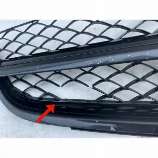 A2048802483 Решетка радиатора Mercedes C W204 Арт e8996678, вид 4