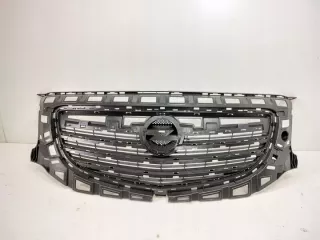 13238420 Решетка радиатора Audi A8 D2 (S8) Арт e9029389, вид 1