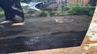  Дверь передняя правая MINI Cooper R50 Арт e9113410, вид 4