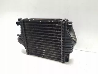 6385012901 Интеркулер Mercedes Vito W638 Арт e9166005, вид 2