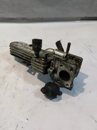 038131513D 038131063C Радиатор EGR Volkswagen Passat B5 Арт e9182492, вид 4