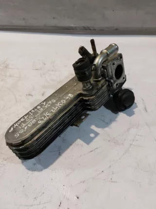 038131513D 038131063C Радиатор EGR Volkswagen Passat B5 Арт e9182492, вид 5