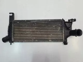 14461EB360 Интеркулер Nissan Navara D40 Арт e9276069, вид 2