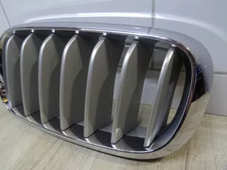 7316075 Решетка радиатора BMW X5 F15 Арт e9319642, вид 2