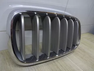 7316075 Решетка радиатора BMW X5 F15 Арт e9319642, вид 3
