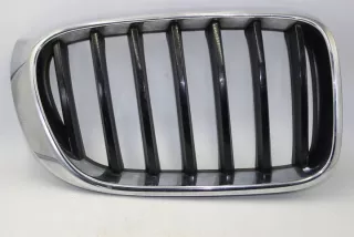 7338572 7338571 Решетка радиатора BMW X3 F25 Арт e9376074, вид 1