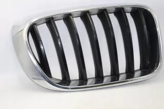 7338572 7338571 Решетка радиатора BMW X3 F25 Арт e9376074, вид 2