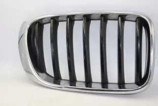 7338572 7338571 Решетка радиатора BMW X3 F25 Арт e9376074, вид 3