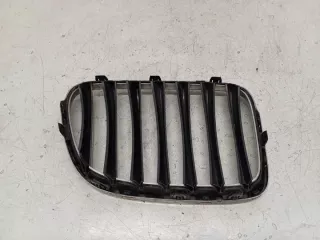 2993308 Решетка радиатора BMW X1 E84 Арт e9397573, вид 4