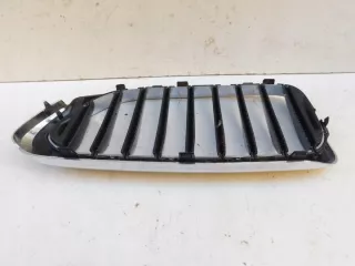 7390866 8070470 Решетка радиатора BMW 5 G30/G31 Арт e9464704, вид 5