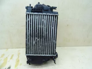 14461-4EB1B Интеркулер Nissan Qashqai 2 Арт e9507054, вид 2
