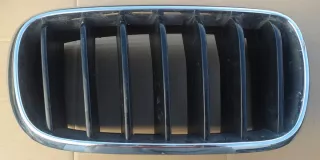 7316076 Решетка радиатора BMW X5 F15 Арт e9625189, вид 1