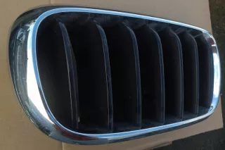 7316076 Решетка радиатора BMW X5 F15 Арт e9625189, вид 3