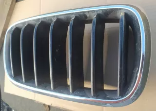 7316076 Решетка радиатора BMW X5 F15 Арт e9625189, вид 4